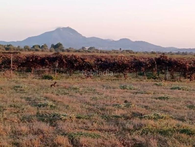 Foto 56cbef49-a655-4684-a97a-7a19610bfe67. Terreno residencial exclusiva oportunidad en Manacor centre Manacor