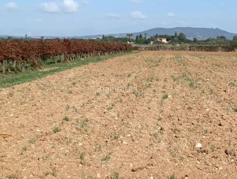 Foto b1067621-7420-4430-b877-0c67b283cd50. Terreno residencial exclusiva oportunidad en Manacor centre Manacor