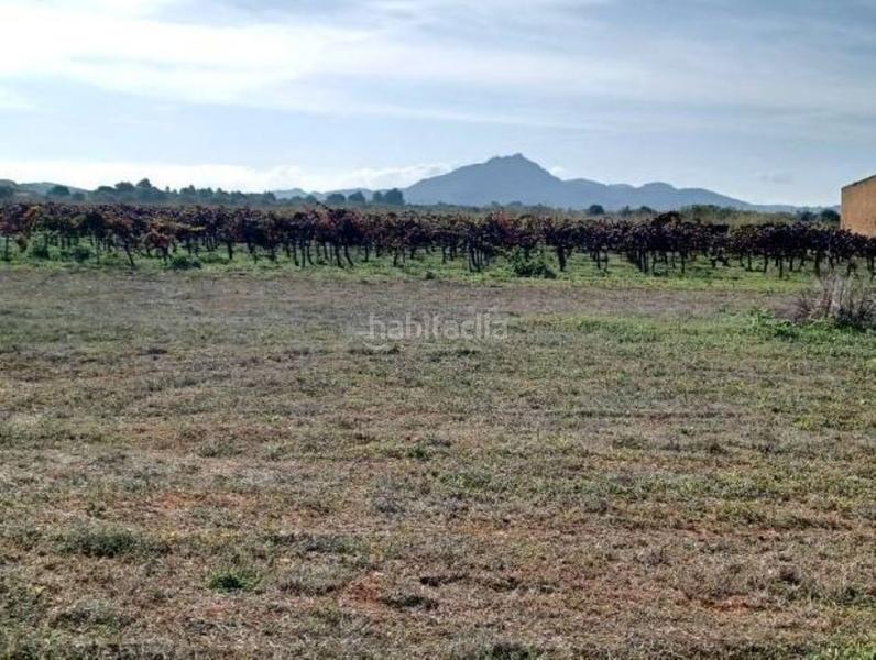 Foto c99fadc1-ec36-49d6-ba0b-3fea6c8daad6. Terreno residencial exclusiva oportunidad en Manacor centre Manacor