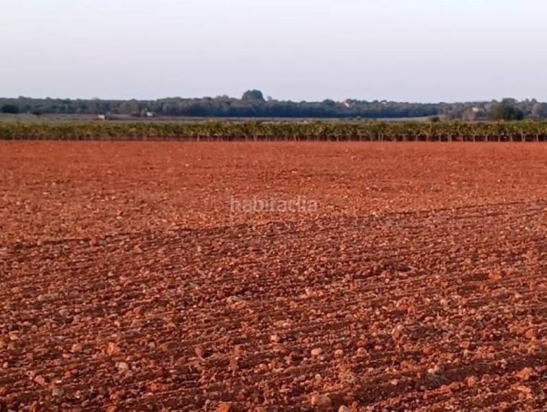 Foto eecb4061-cd74-4ee5-b47e-332504b34c96. Terreno residencial exclusiva oportunidad en Manacor centre Manacor