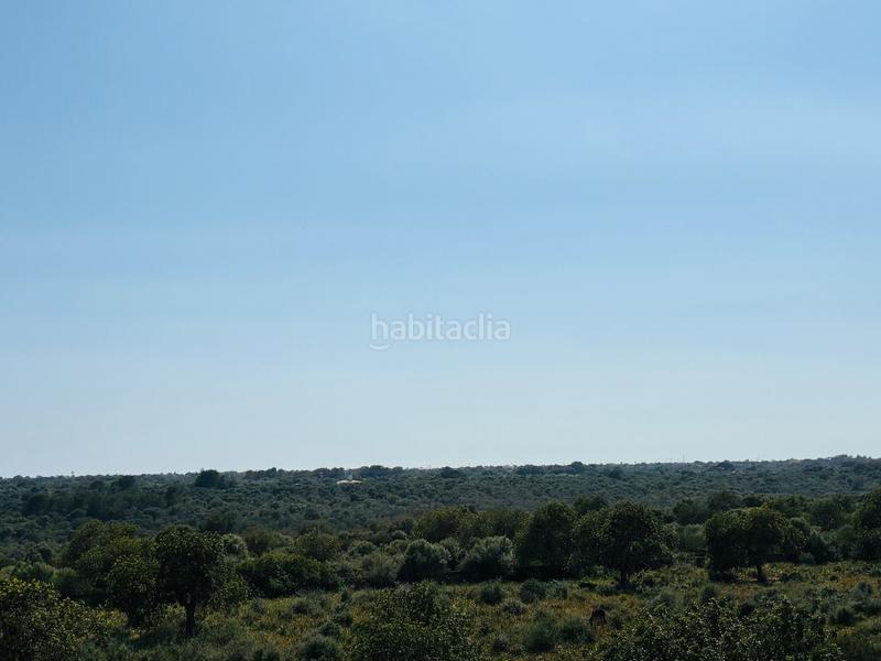 Foto 08edd196-e016-46e1-84e1-49fc00420cb9. House with heating parking in Portocolom Felanitx