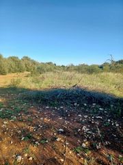 Terreno residenziale in Felanitx Poble. Gran oportunidad