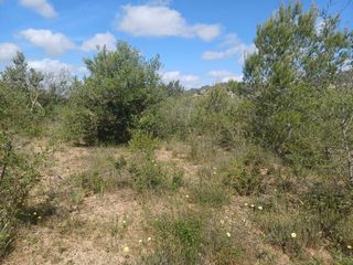 Residential Plot in Felanitx Poble. Invierte en tu futuro