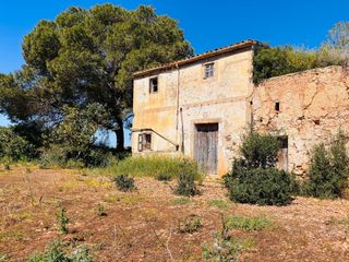 Masia a Felanitx Poble