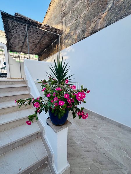 Foto 297f213c-e562-4fdb-835c-bd0e8dd6e433. Rent semi detached house with heating pool in Portocolom Felanitx