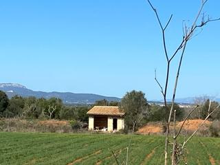Terreny residencial a Felanitx Poble. Finca edificable en felanitx  zona son buguera