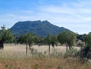 Terreny residencial a Felanitx Poble. Oportunidad en son prohens