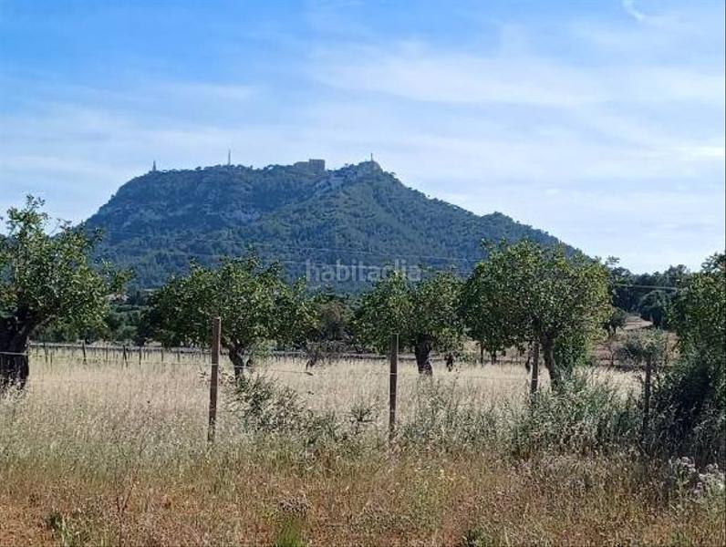Foto 25ea5a5e-45d8-4fa0-9117-f2657b4c0478. Terreny residencial a Felanitx poble Felanitx