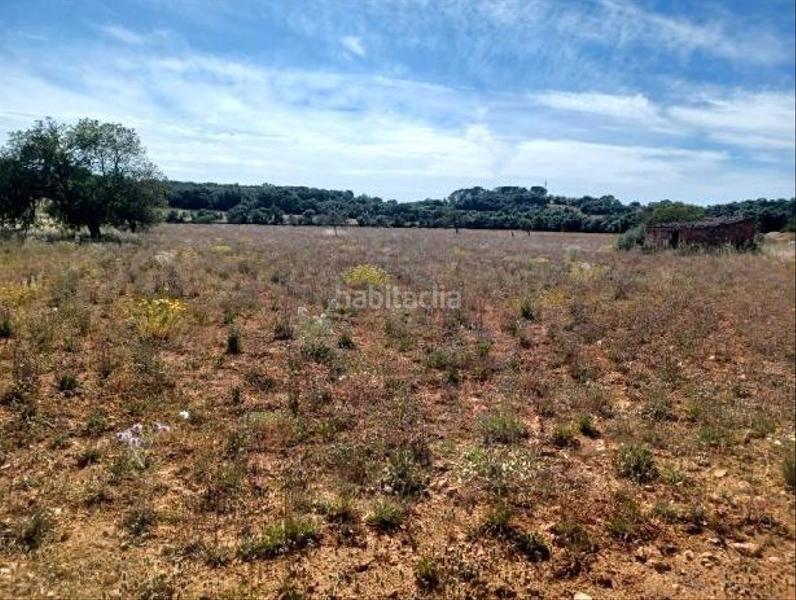 Foto ba164752-5db6-4aef-a84e-680f4415ff62. Terreny residencial a Felanitx poble Felanitx