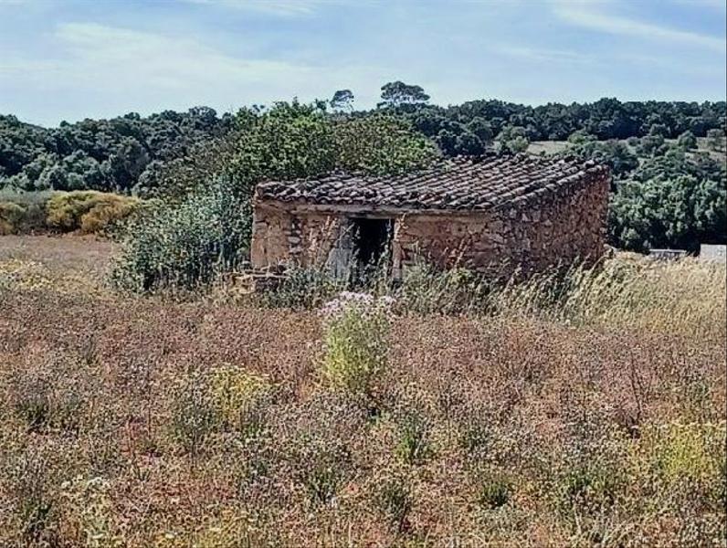 Foto d9b77bbf-da3b-4bbe-ab9c-6327361e052c. Terreny residencial a Felanitx poble Felanitx