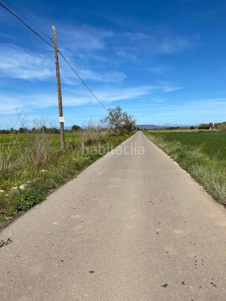 Foto 9b527afd-5d99-4e59-acec-f7241357ab59. Terreny residencial a Felanitx poble Felanitx