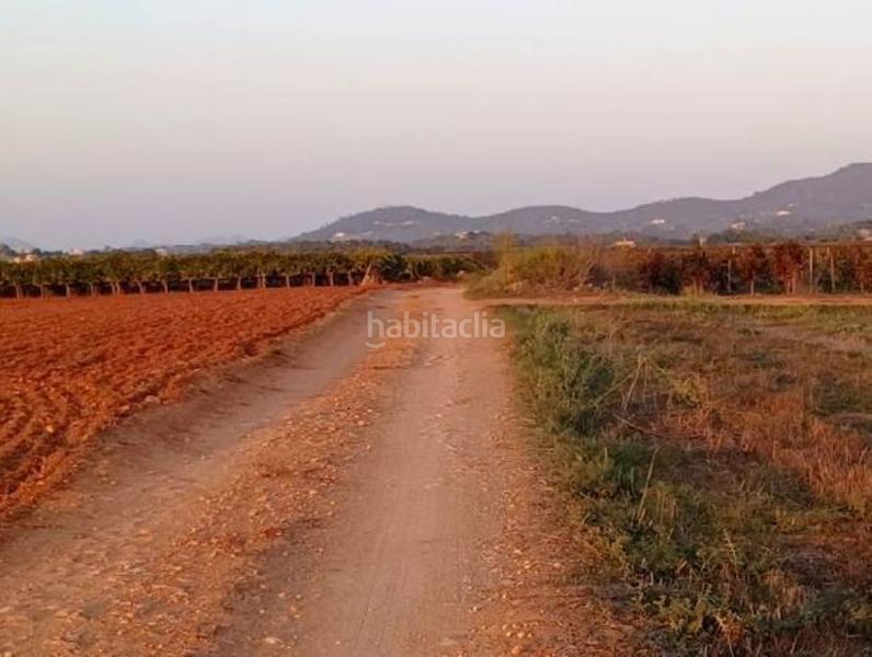 Foto a62328ff-53a3-431c-b047-c8c63ade46c0. Terreno residenziale in Manacor centre Manacor
