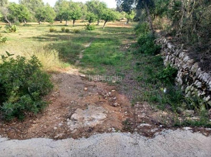 Foto 022ea64d-c2ca-4971-8106-22613db6b790. Terrain résidentiel dans Felanitx poble Felanitx