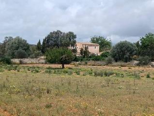 Finca rústica a Felanitx Poble. Excelente posibilidad