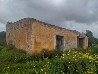 Finca rústica a Felanitx Poble. Con mucho potencial