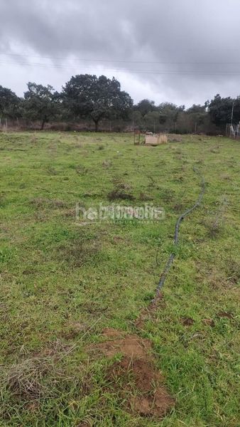 Foto 0e452e05-bf06-4fa6-a96b-fb1810e41b83. Finca rústica a Valverde de Leganés