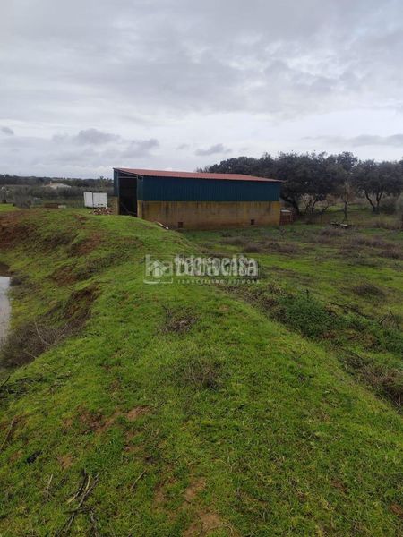 Foto 7b7d6a14-1a43-407b-97f0-1cdc807daa1e. Finca rústica a Valverde de Leganés