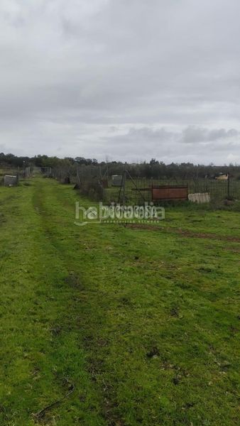 Foto b7c47663-9c96-4ce0-b9ec-fe781dcfa800. Finca rústica a Valverde de Leganés