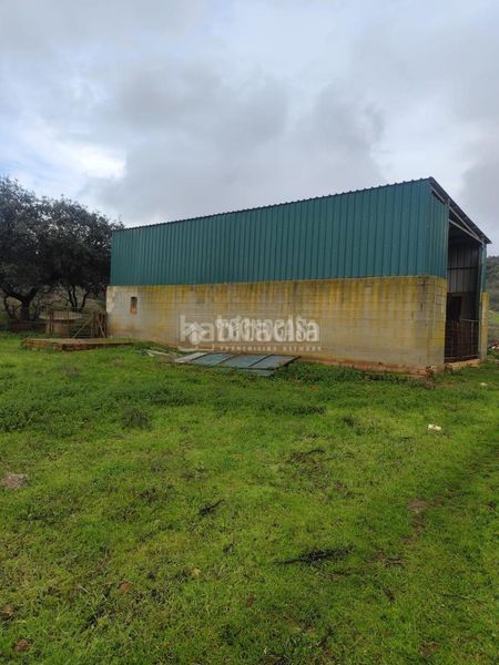 Foto c8a8ba9f-a409-4f87-8ec2-49e31768bae9. Finca rústica a Valverde de Leganés