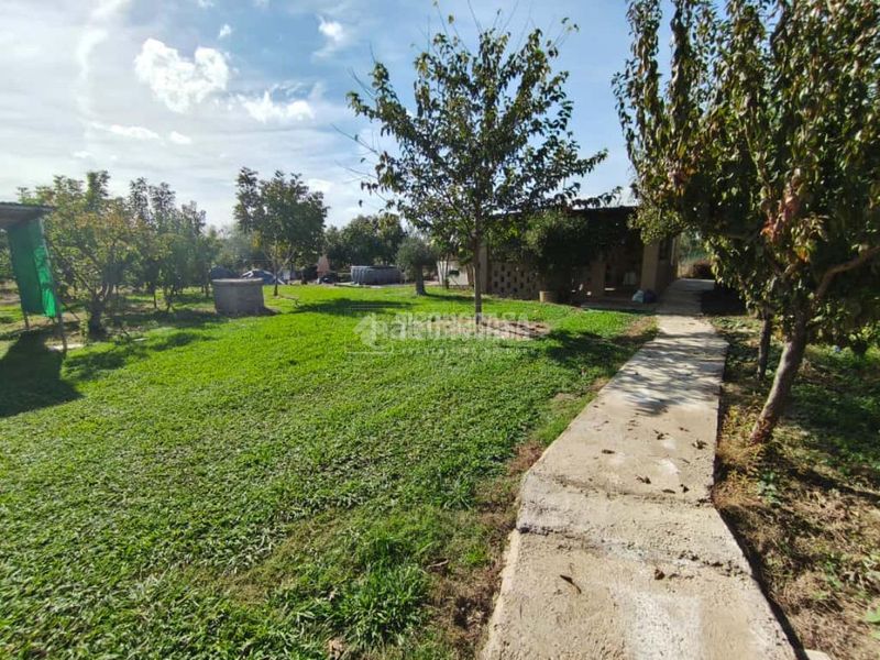 Foto c24caf8c-5ae3-416b-8128-c733335c785c. Masia a pedanías de Badajoz Badajoz