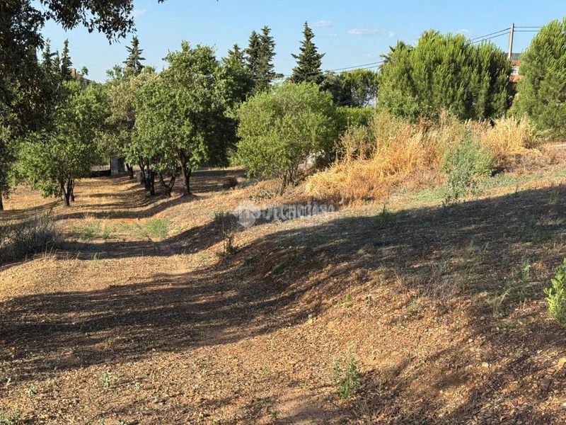 Foto 1218d684-a047-4074-9141-b18a16614328. Finca rústica a Carretera de Sevilla - Los Montitos Badajoz