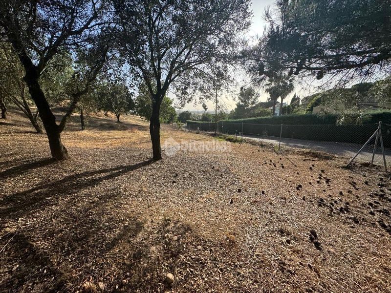Foto 5f994f87-8b79-47db-a165-b88b018d0d38. Finca rústica a Carretera de Sevilla - Los Montitos Badajoz
