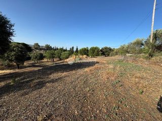 Finca rústica a Carretera de Sevilla - Los Montitos. Terrenos en venta en badajoz