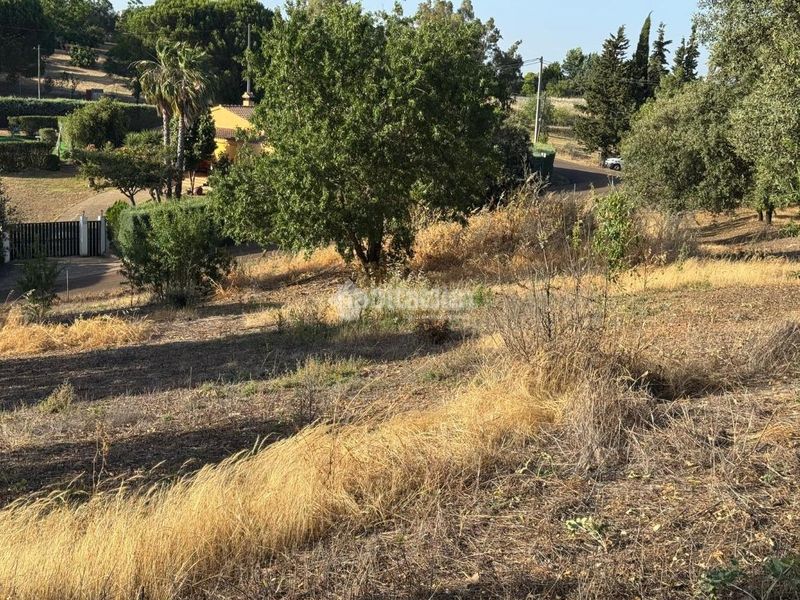 Foto 8b89a98d-b06f-4fc1-8c3c-3d7ef2918475. Finca rústica a Carretera de Sevilla - Los Montitos Badajoz