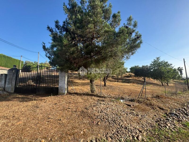 Foto bcd9b8cd-2a3d-4ced-ae2c-70ff4d15d574. Finca rústica a Carretera de Sevilla - Los Montitos Badajoz