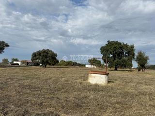 Finca rústica a Las Vaguadas. Terrenos en venta en badajoz