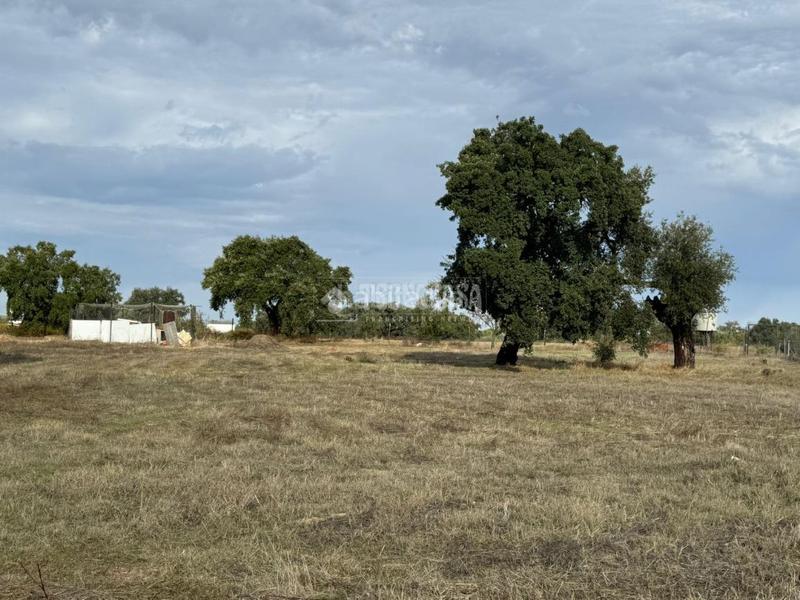 Foto bff62328-a604-47b7-9c4c-1844ed46378e. Fondo rustico in Las Vaguadas Badajoz