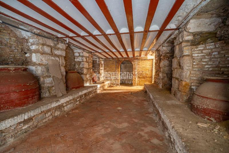 Foto a4e549c0-eb62-4c93-92e4-1f42b7152d15. Towny house in Centro ciudad Linares