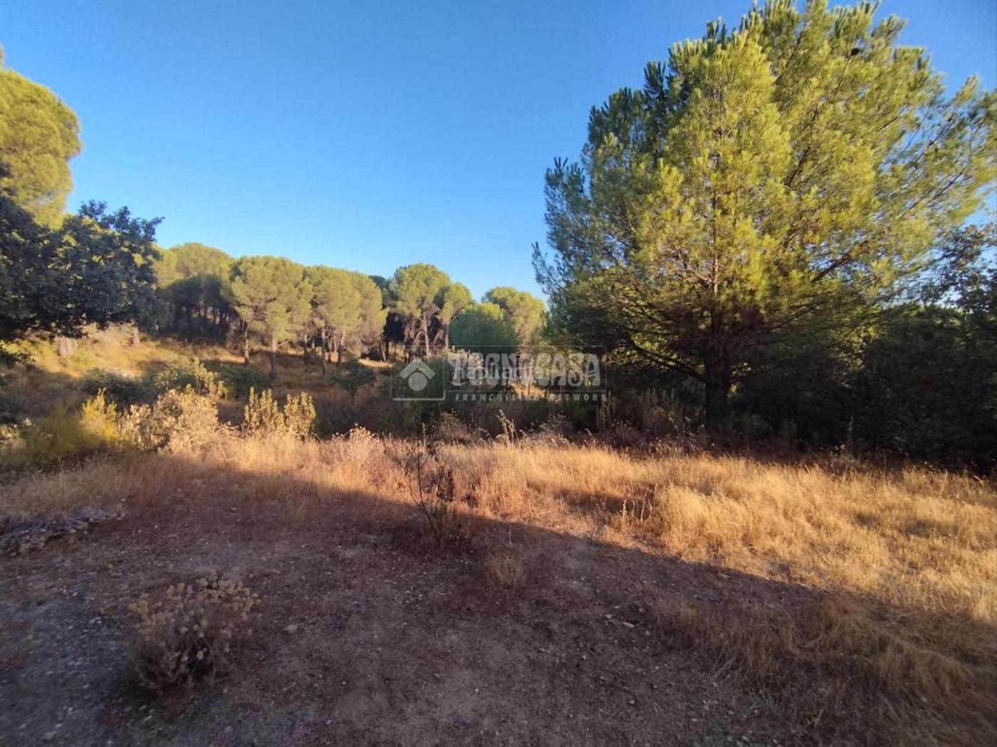 Casa rural en venta en Andjar Andjar