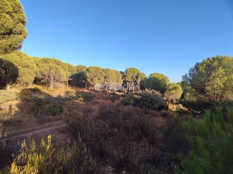 Foto 47f3ebd6-93aa-4c60-9256-d91e384966c7. Masía casa rural en venta en Andújar
