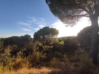 Masia a Andújar. Casa rural en venta en andújar