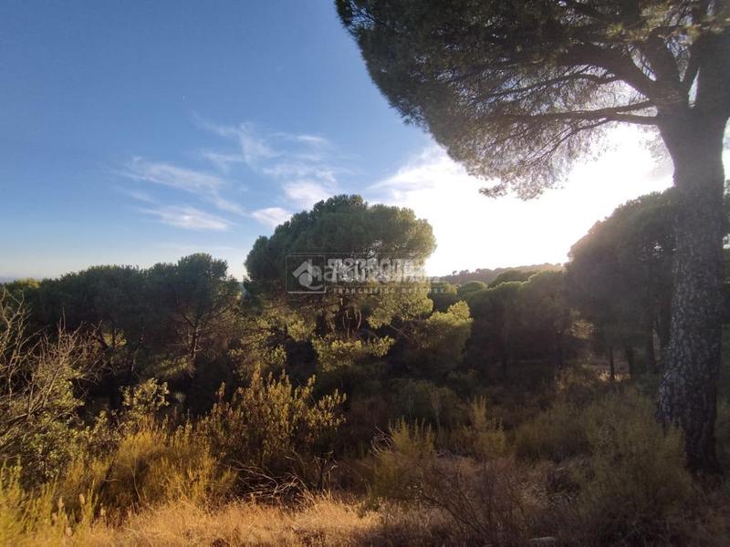Foto ea458815-501e-4acd-8625-e23dc4c4f99e. Masía casa rural en venta en Andújar