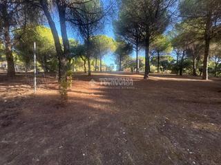 Bauernhof in Andújar. Casa rural en venta en andújar