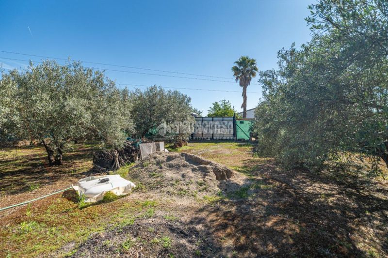 Foto d3af7f0a-cb8a-4e34-b6c0-f2e69e161a68. Masia amb aparcament piscina a San Roque - La Cruz - La Rozuela Linares