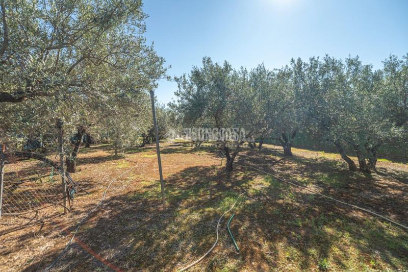 Foto d7528774-ae8c-4505-872e-2be72e6e612b. Masia amb aparcament piscina a San Roque - La Cruz - La Rozuela Linares