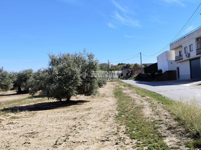 Foto 0f62a925-9dc5-4c4a-961e-3e237ecfe86b. Finca rústica a Mengíbar