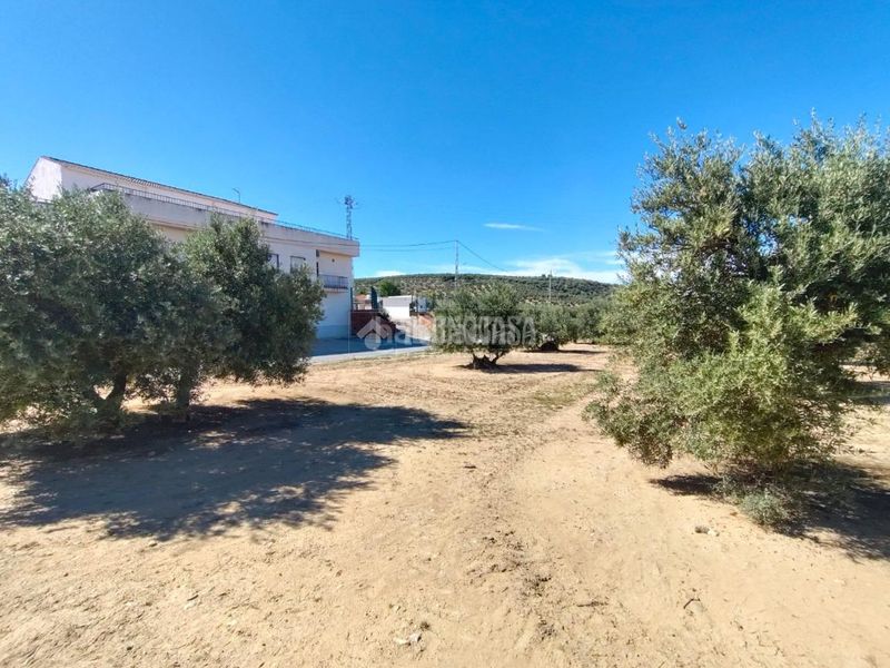 Foto 7f004aed-e76e-490a-8485-7743dbcbf427. Finca rústica a Mengíbar