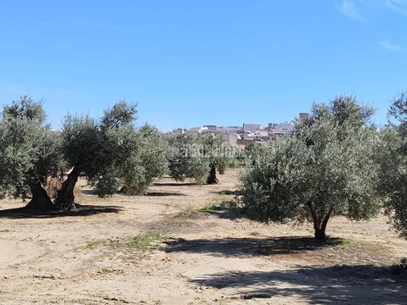 Foto 83c98f35-ea3f-42a1-8636-7db84ec17583. Finca rústica a Mengíbar