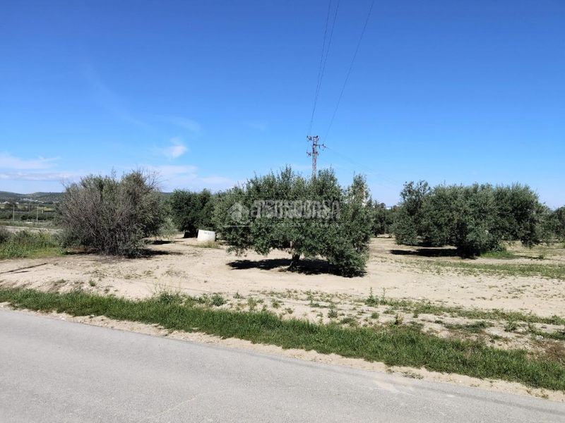 Foto 9156f6ff-f8ac-4942-bcbd-7d691f8c1060. Finca rústica a Mengíbar