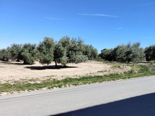 Fondo rustico in Mengíbar. Terrenos en venta en mengíbar