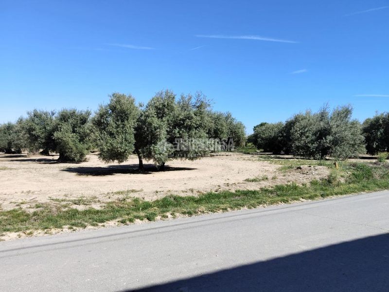 Foto f84f6b38-78e3-49f5-88fa-a8bf0b4d722a. Finca rústica a Mengíbar