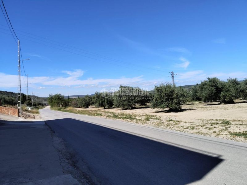 Foto fb571d9e-32a6-424b-ad2f-baccbf661dba. Finca rústica a Mengíbar