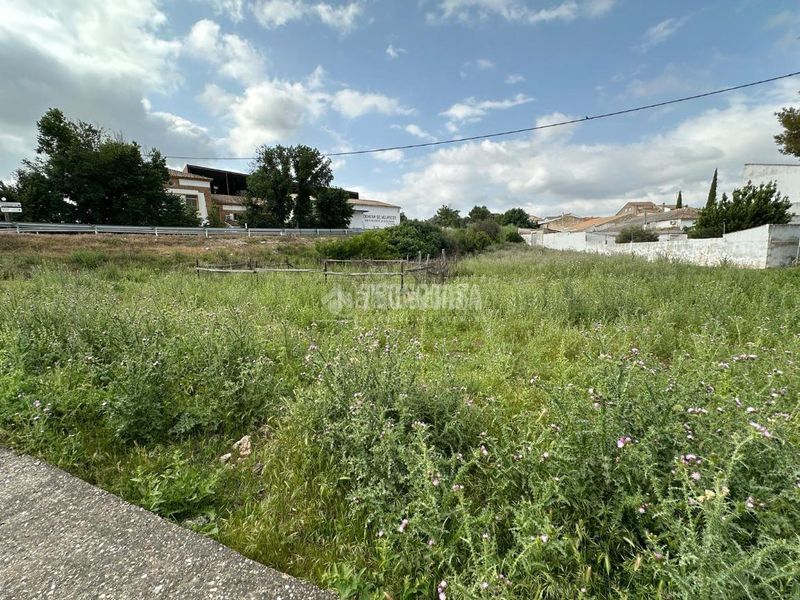 Foto 45fd4365-f2a2-4462-85d0-d1b114b7beb0. Casa aparellada a Mengíbar