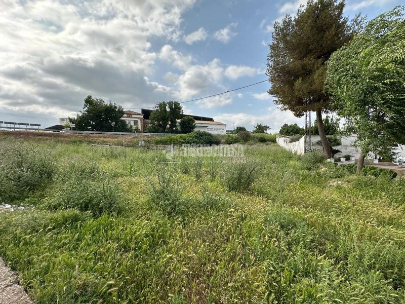 Foto a7a55890-46b8-426a-9614-9224e2310b22. Casa aparellada a Mengíbar
