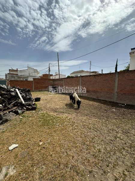 Foto c65f9ef0-240f-4d68-8979-46292d700190. Terreny residencial a Mengíbar