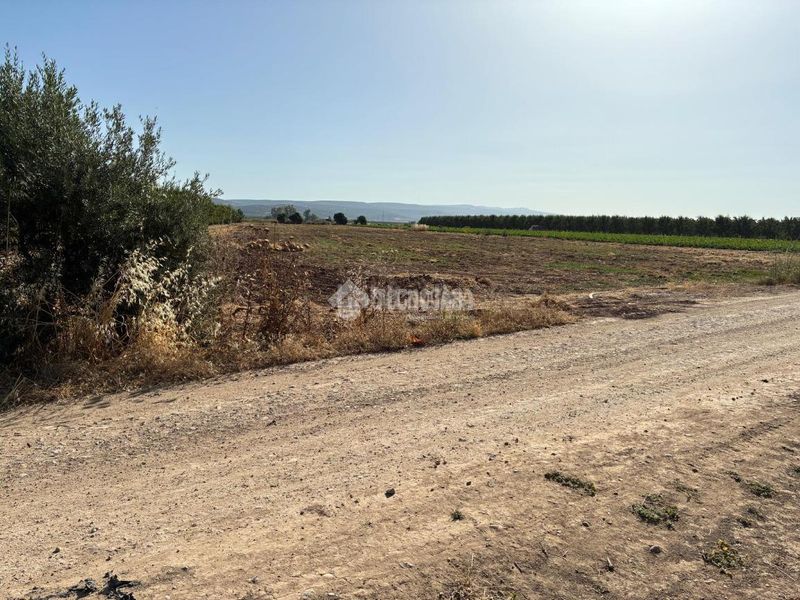 Foto 1ab787bd-b3d8-47c8-8f73-dde5cee32e8e. Casa aparellada a Villatorres